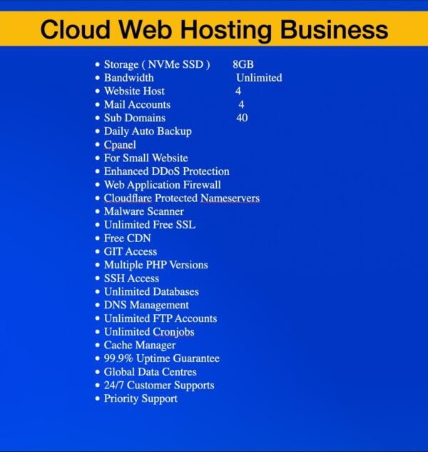 Cloud Web Hosting Business